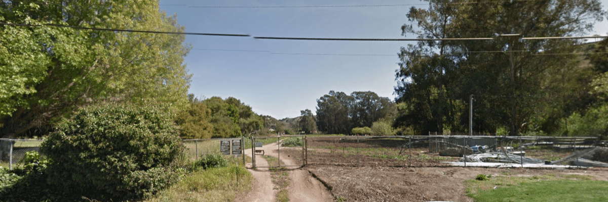Friday Bird Walk: Palermo Open Space