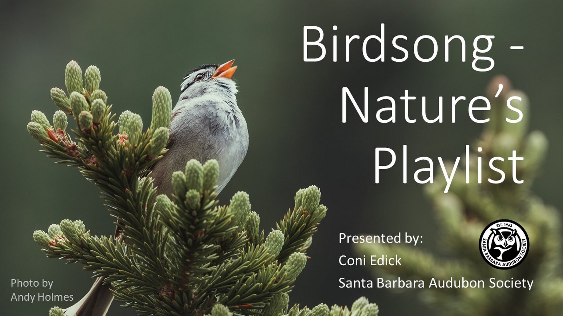 Webinar: Birdsong: Nature's Playlist