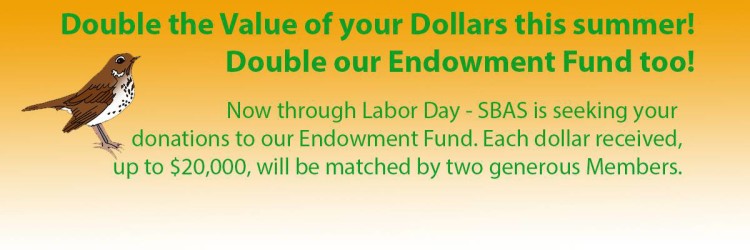 Endowment-Double.jpg