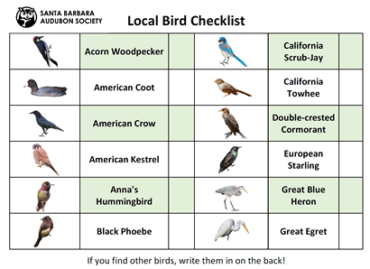 LR Local Checklist