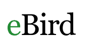 eBird-Logo.png