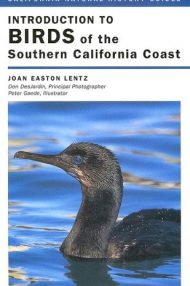 Book Intro birds SC Coast