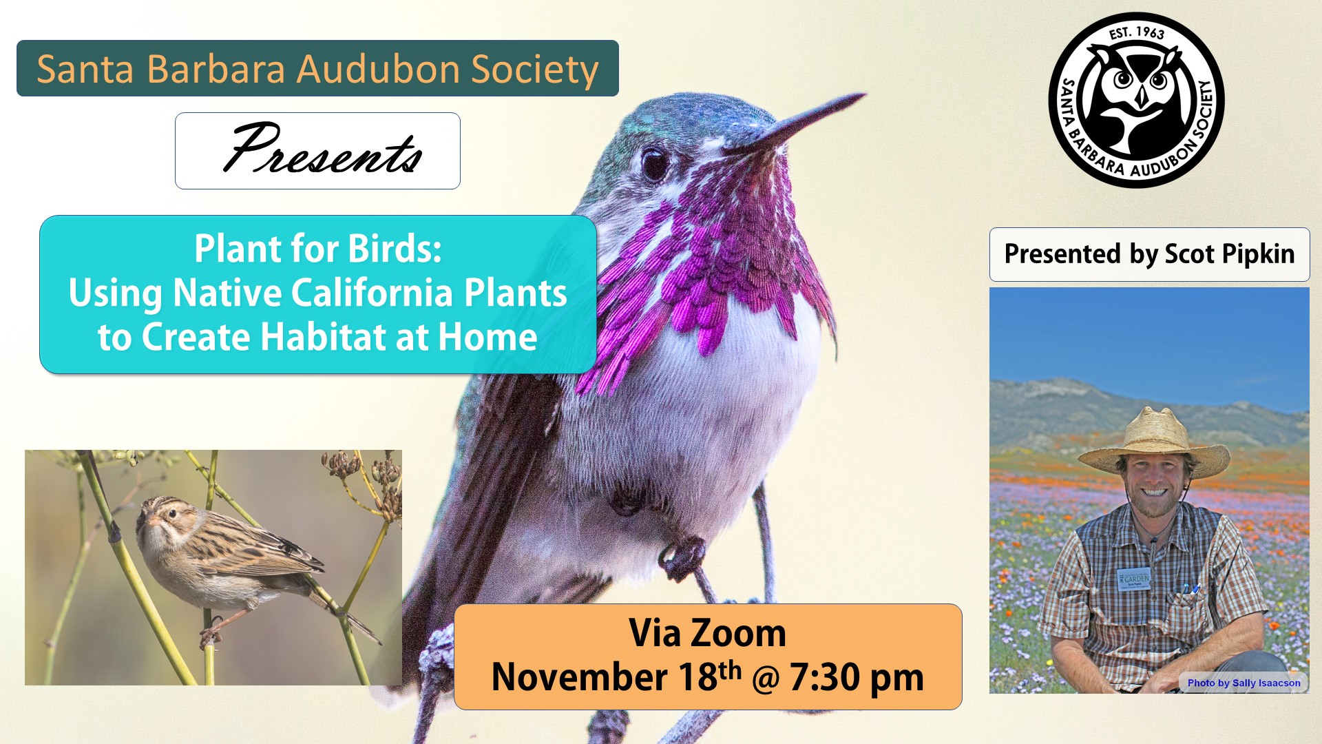 Plant for Birds: Using Native California Plants to Create Habitat at Home