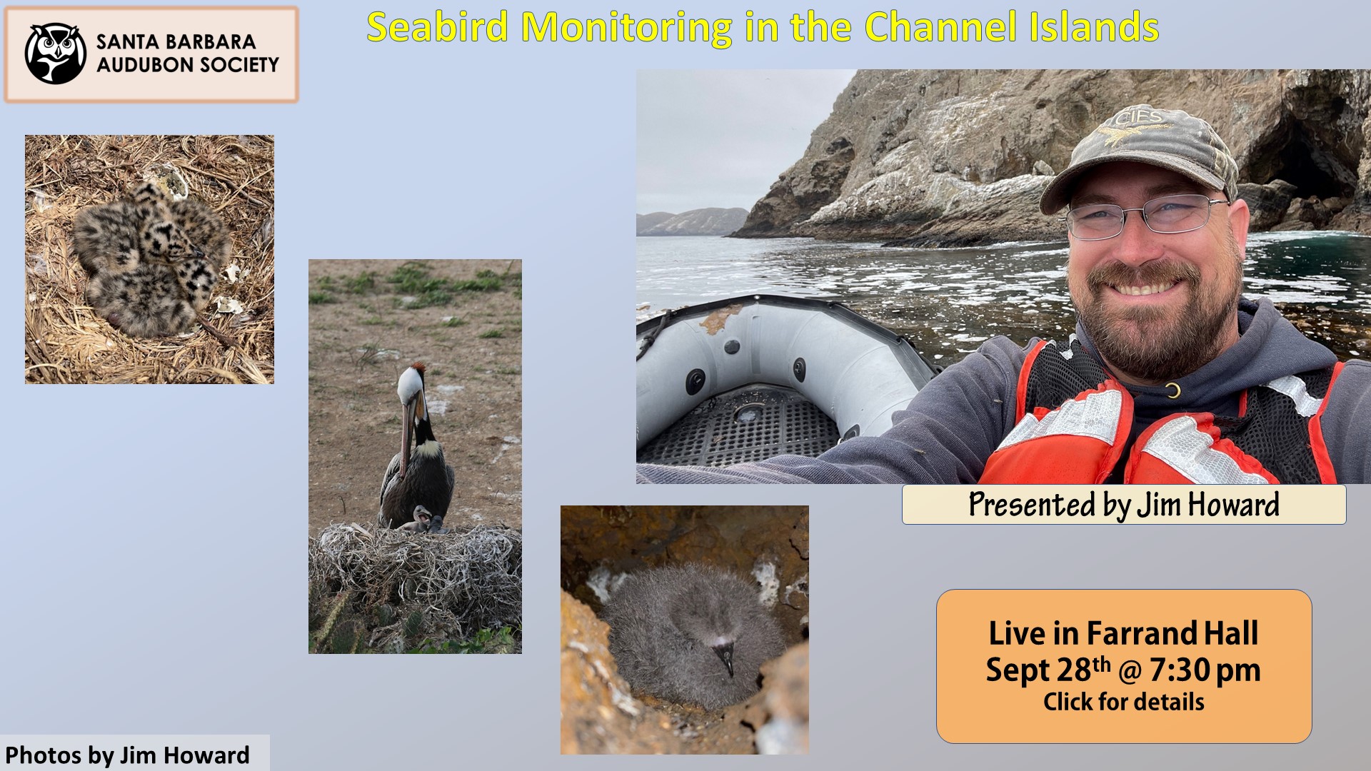 Program: Seabird Monitoring in the Channel Islands