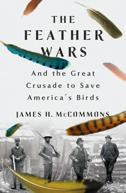 thefeatherwarsbookcover thefeatherwarsbookcover