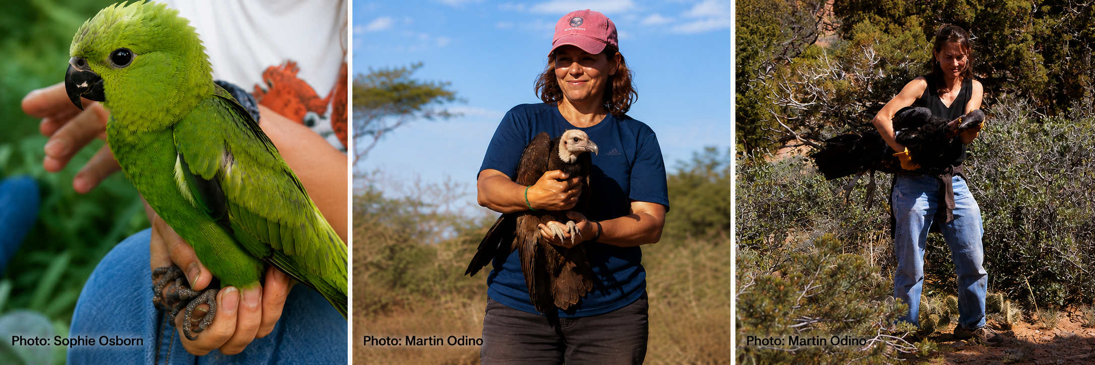 Program: Wild Work: Adventures of Women Field Biologists (illustrated)